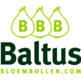 logo Baltus bloembollen